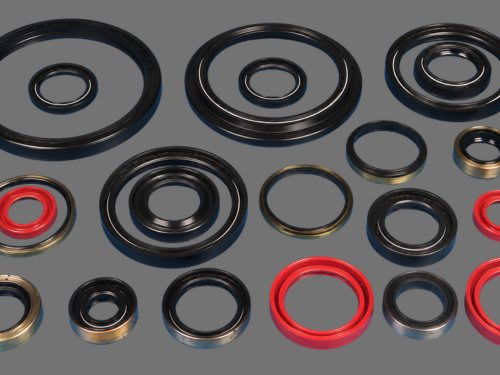 Seals Of Any Sizes And Quality